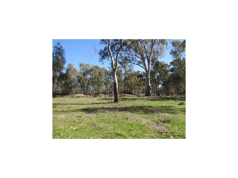 Portion 36 Greenhills Lane, Barham NSW 2732