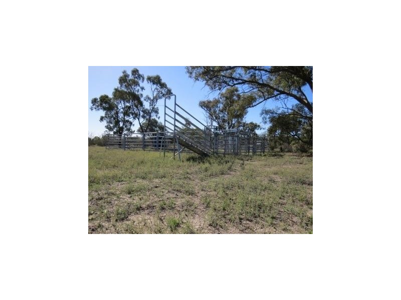 Portion 36 Greenhills Lane, Barham NSW 2732