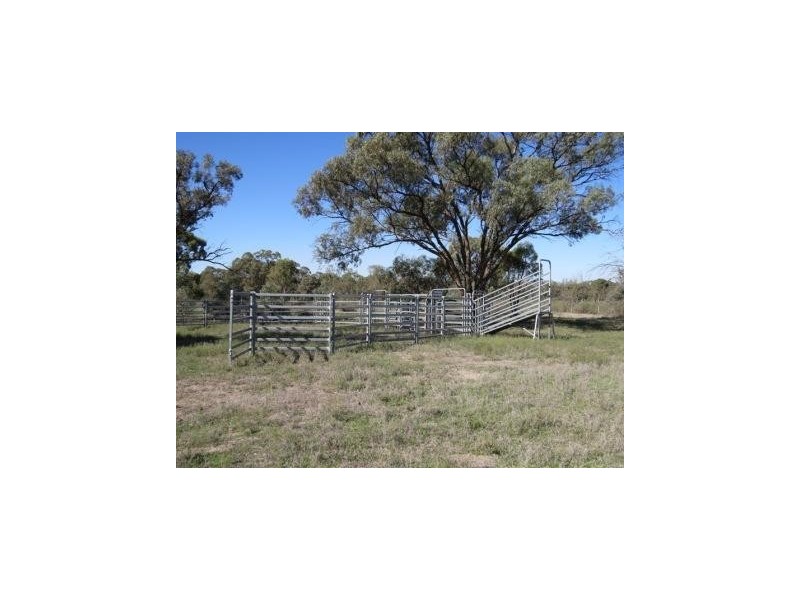 Portion 36 Greenhills Lane, Barham NSW 2732
