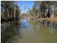Portion 36 Greenhills Lane, Barham NSW 2732