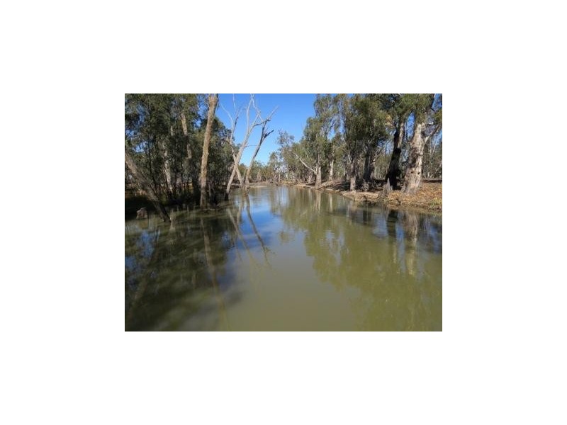 Portion 36 Greenhills Lane, Barham NSW 2732