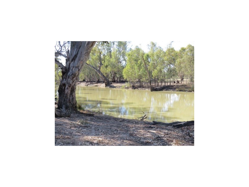 Portion 36 Greenhills Lane, Barham NSW 2732
