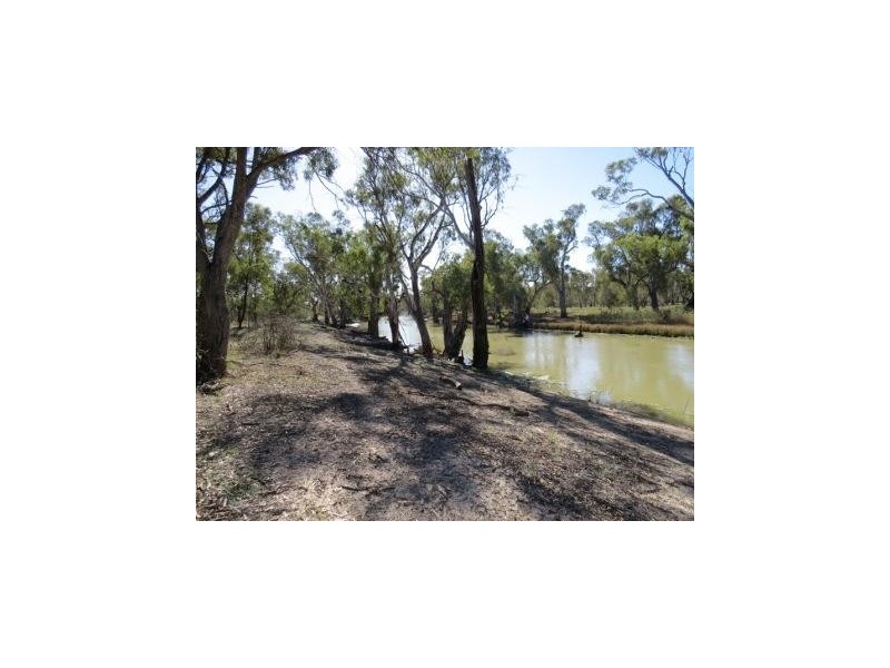 Portion 36 Greenhills Lane, Barham NSW 2732