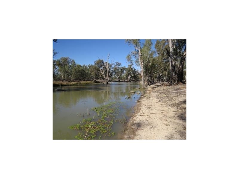 Portion 36 Greenhills Lane, Barham NSW 2732