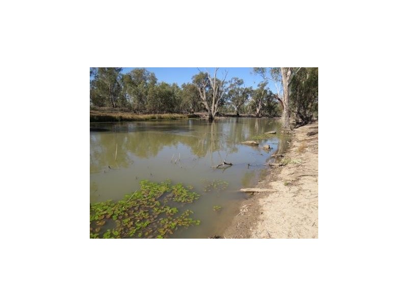 Portion 36 Greenhills Lane, Barham NSW 2732