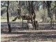 Portion 36 Greenhills Lane, Barham NSW 2732