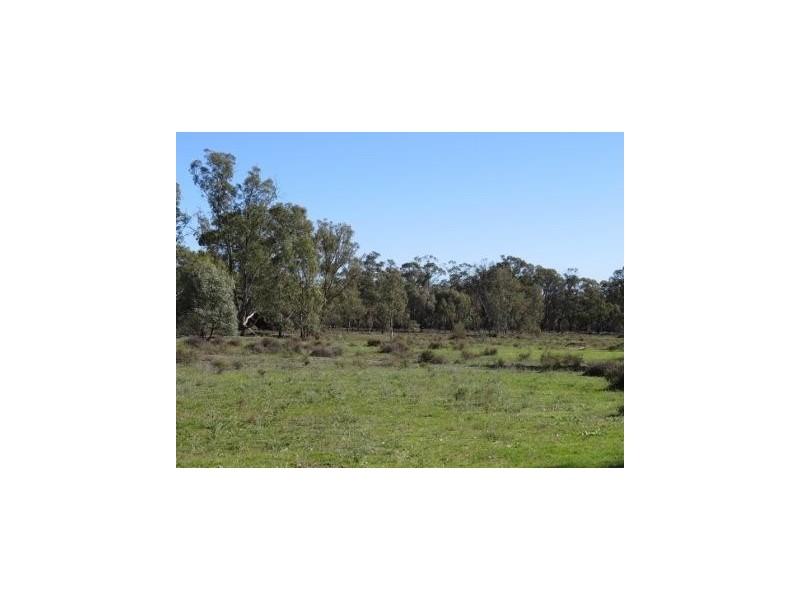 Portion 36 Greenhills Lane, Barham NSW 2732