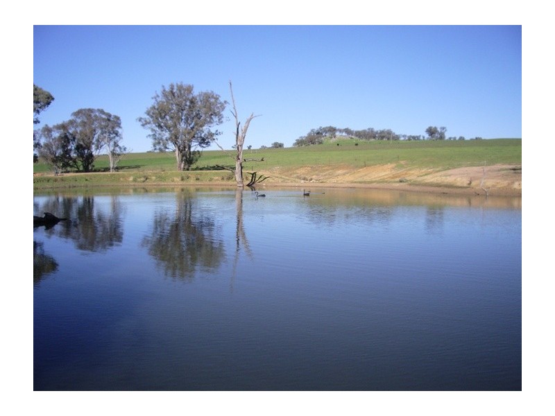 0 Calderwood Road, Muttama NSW 2722