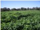 0 Calderwood Road, Muttama NSW 2722