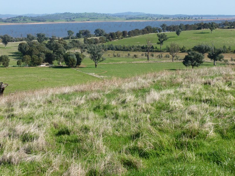 Lots 1 and 2 Hores Lane, Talgarno VIC 3691