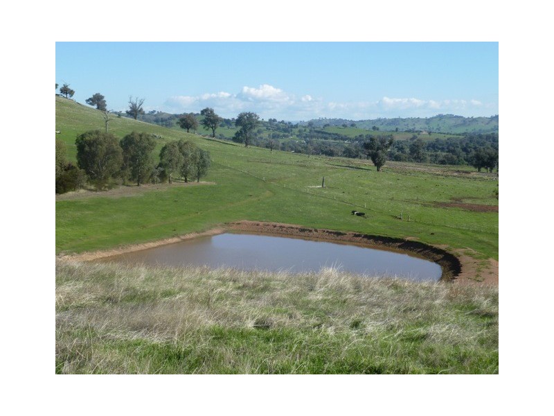 Lots 1 and 2 Hores Lane, Talgarno VIC 3691