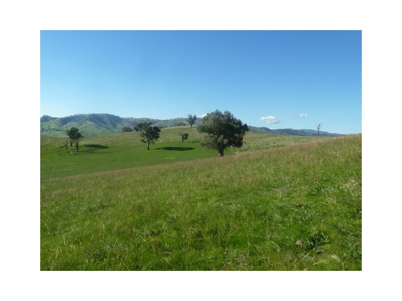 Lots 1 and 2 Hores Lane, Talgarno VIC 3691