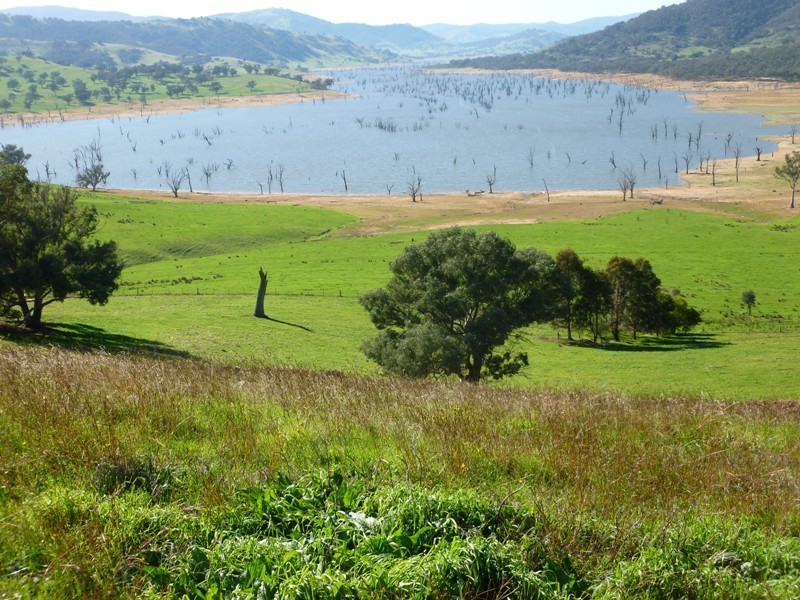 Lots 1 and 2 Hores Lane, Talgarno VIC 3691