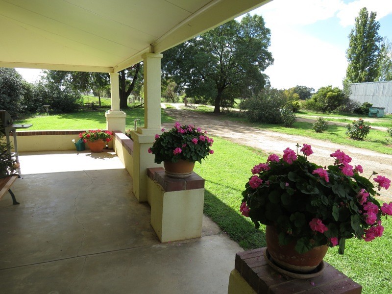 “Wongalea” Moonee Swamp Road, Deniliquin NSW 2710