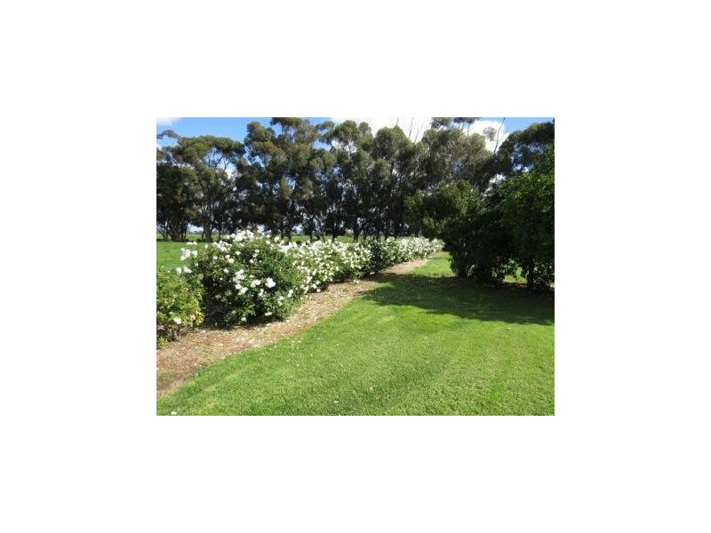 “Wongalea” Moonee Swamp Road, Deniliquin NSW 2710