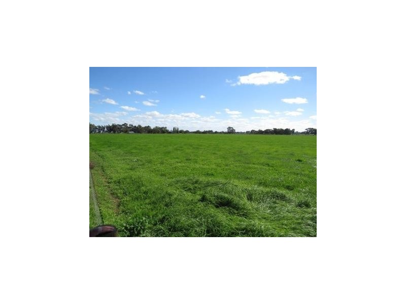 “Wongalea” Moonee Swamp Road, Deniliquin NSW 2710