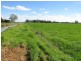 “Wongalea” Moonee Swamp Road, Deniliquin NSW 2710