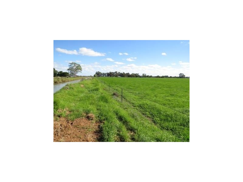 “Wongalea” Moonee Swamp Road, Deniliquin NSW 2710