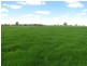 “Wongalea” Moonee Swamp Road, Deniliquin NSW 2710