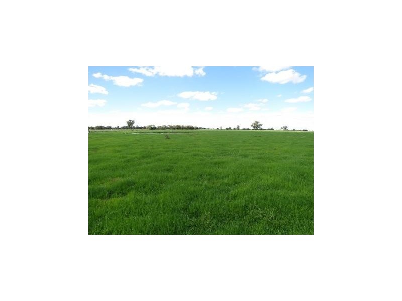 “Wongalea” Moonee Swamp Road, Deniliquin NSW 2710