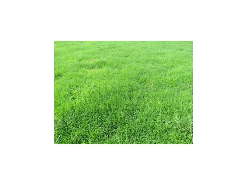 “Wongalea” Moonee Swamp Road, Deniliquin NSW 2710