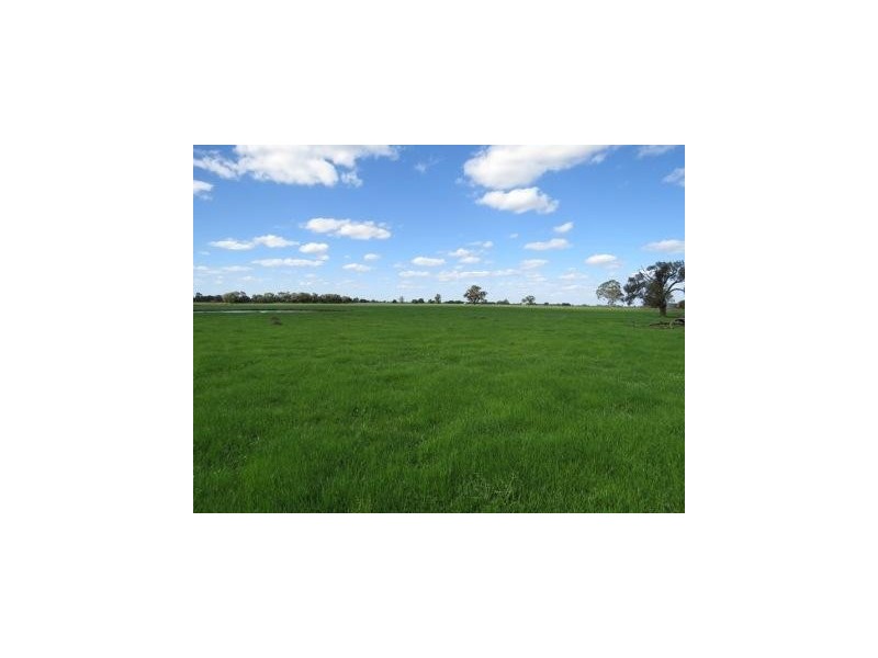 “Wongalea” Moonee Swamp Road, Deniliquin NSW 2710