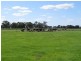 “Wongalea” Moonee Swamp Road, Deniliquin NSW 2710