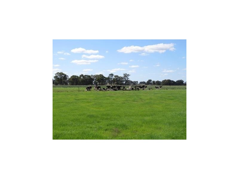 “Wongalea” Moonee Swamp Road, Deniliquin NSW 2710