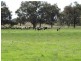 “Wongalea” Moonee Swamp Road, Deniliquin NSW 2710