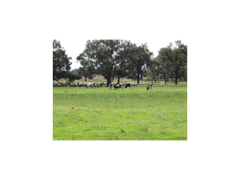 “Wongalea” Moonee Swamp Road, Deniliquin NSW 2710