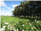 “Wongalea” Moonee Swamp Road, Deniliquin NSW 2710