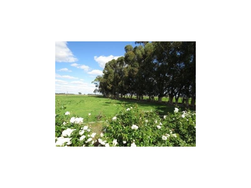 “Wongalea” Moonee Swamp Road, Deniliquin NSW 2710
