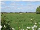 “Wongalea” Moonee Swamp Road, Deniliquin NSW 2710