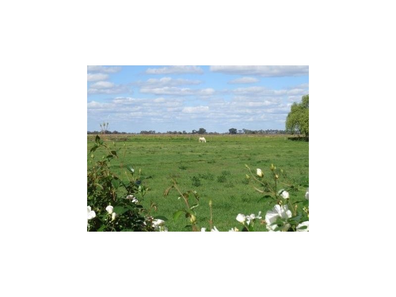 “Wongalea” Moonee Swamp Road, Deniliquin NSW 2710