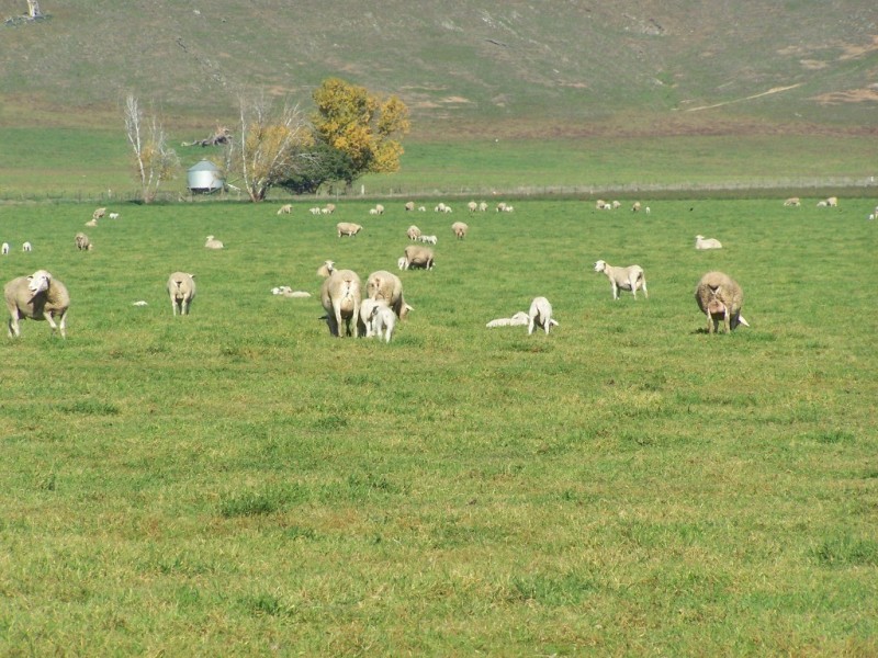 61 Merritts Road, Wagga Wagga NSW 2650