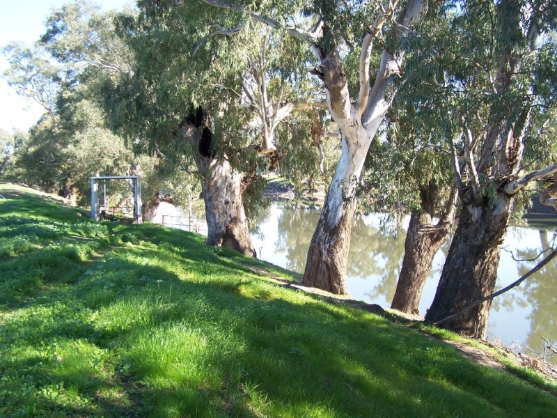 61 Merritts Road, Wagga Wagga NSW 2650