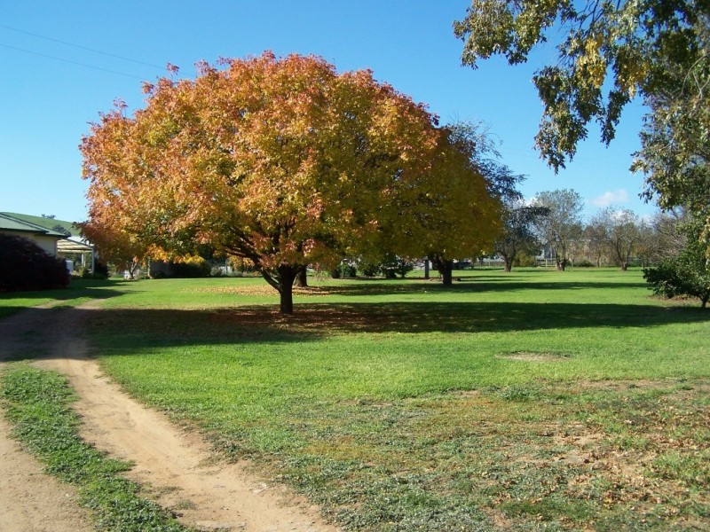 61 Merritts Road, Wagga Wagga NSW 2650