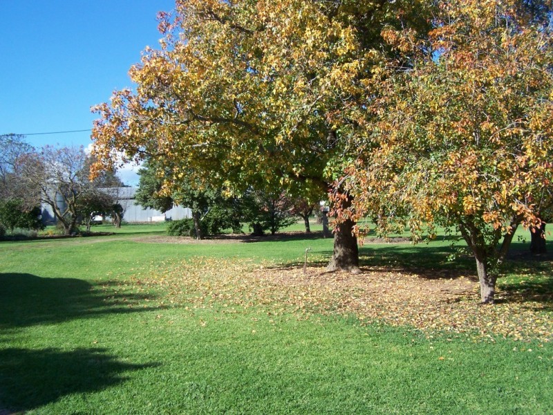 61 Merritts Road, Wagga Wagga NSW 2650