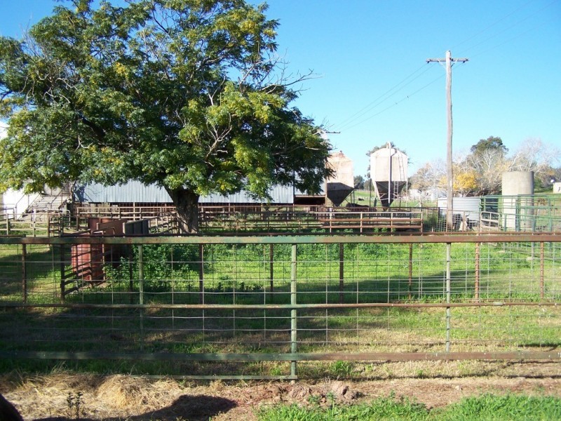 61 Merritts Road, Wagga Wagga NSW 2650