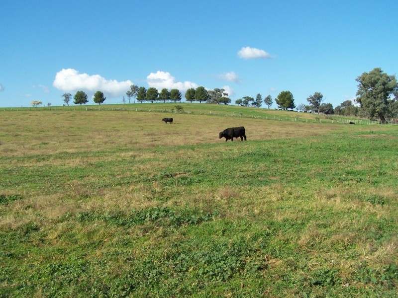 61 Merritts Road, Wagga Wagga NSW 2650