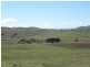 000 Grassy Creek Road, Boorowa NSW 2586