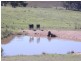 000 Grassy Creek Road, Boorowa NSW 2586