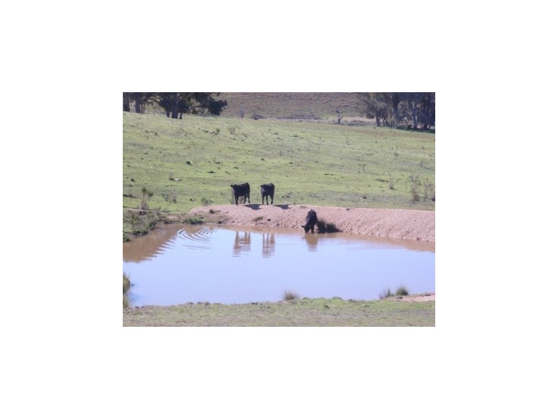 000 Grassy Creek Road, Boorowa NSW 2586
