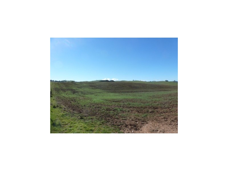 000 Grassy Creek Road, Boorowa NSW 2586