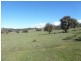 000 Grassy Creek Road, Boorowa NSW 2586