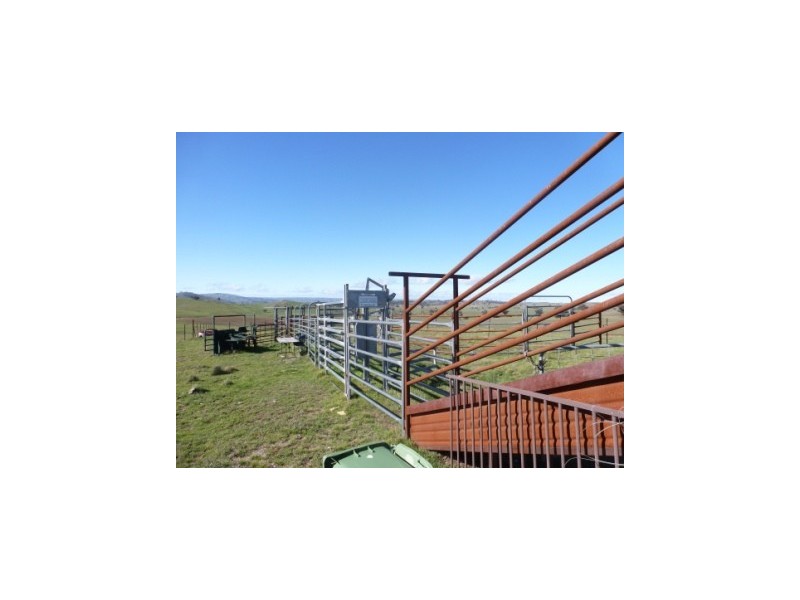 000 Grassy Creek Road, Boorowa NSW 2586