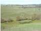 000 Grassy Creek Road, Boorowa NSW 2586
