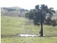 000 Grassy Creek Road, Boorowa NSW 2586