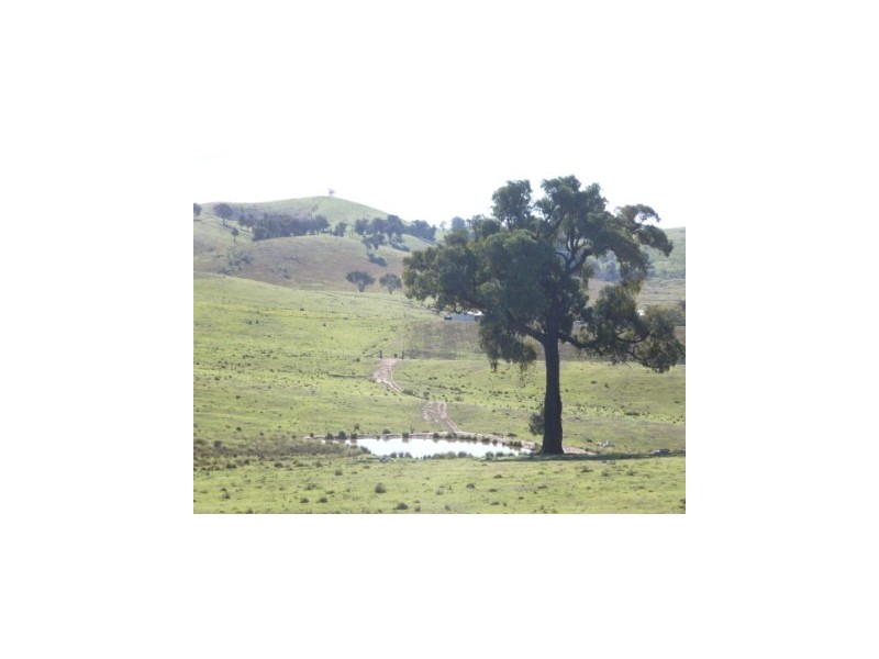 000 Grassy Creek Road, Boorowa NSW 2586