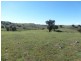 000 Grassy Creek Road, Boorowa NSW 2586